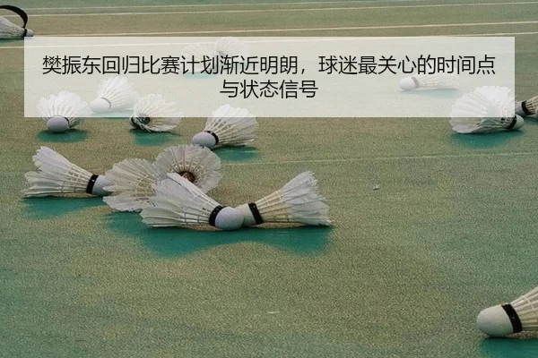 樊振东回归比赛计划渐近明朗，球迷最关心的时间点与状态信号